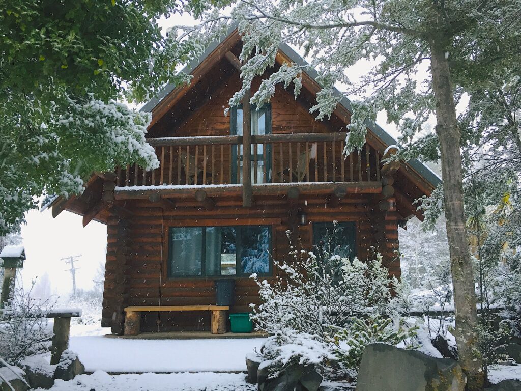 Cabbage Tree cabin